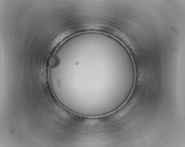 X0000115560978200911201819