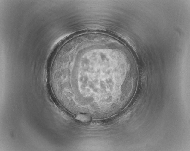 X0000115560979200911201819