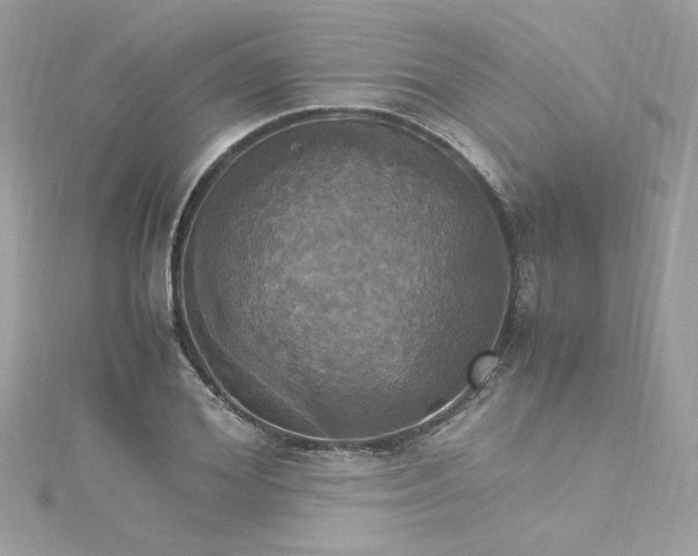 X0000115560980200911201819