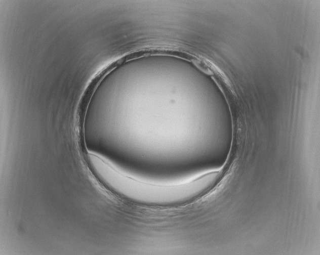 X0000115560981200911201819