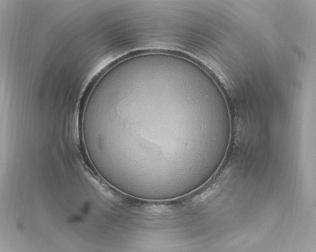 X0000115560982200911201819