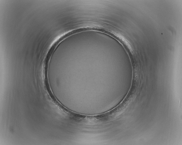 X0000115560983200911201819