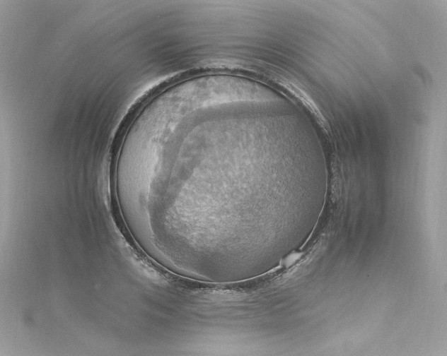 X0000115560984200911201819