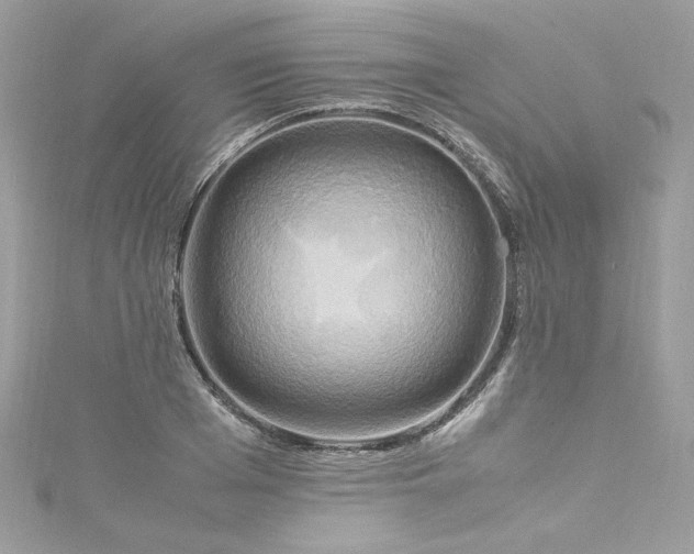 X0000115560985200911201819