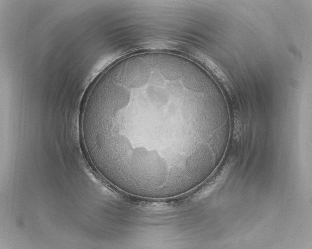 X0000115560986200911201819