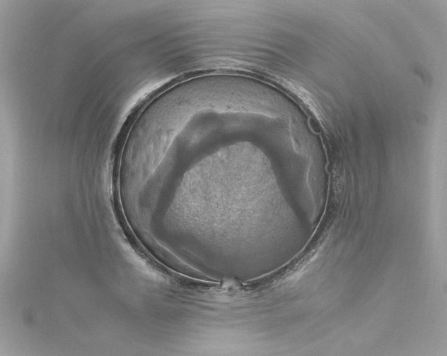 X0000115560987200911201819