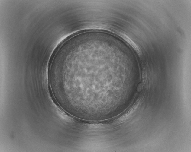 X0000115560988200911201819