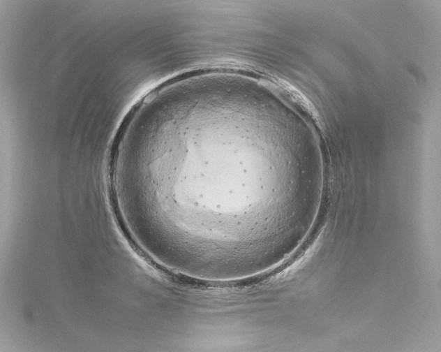 X0000115560989200911201818