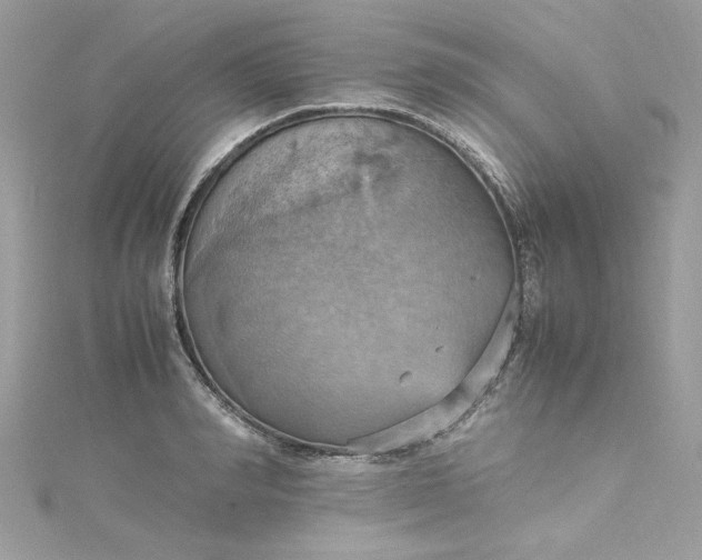 X0000115560990200911201818