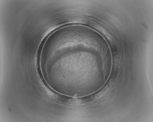 X0000115560991200911201818