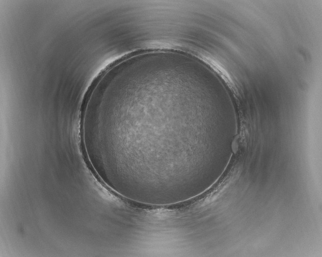 X0000115560992200911201818