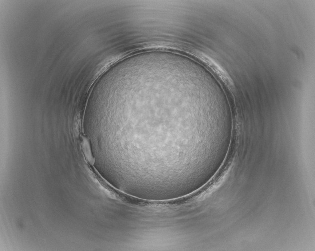 X0000115560993200911201818