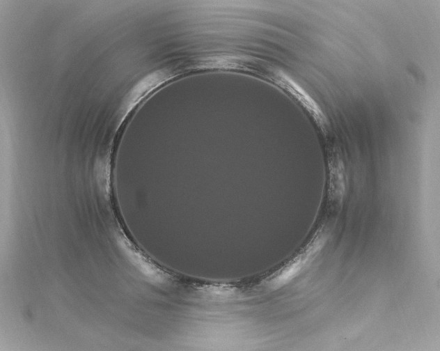 X0000115560994200911201818