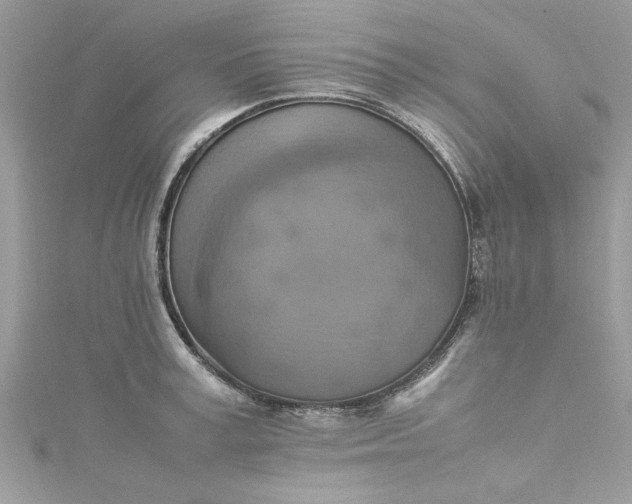 X0000115560995200911201818