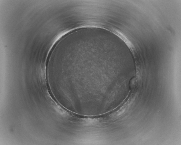 X0000115560996200911201818