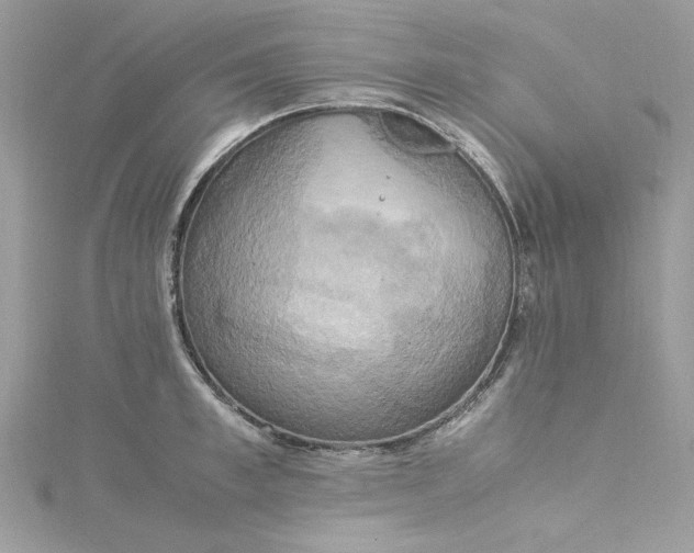 X0000115560997200911201818