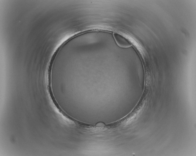 X0000115560999200911201818