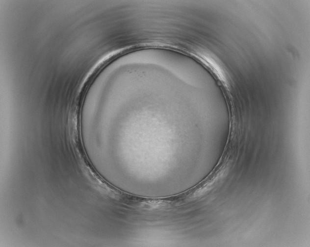 X0000115561000200911201818