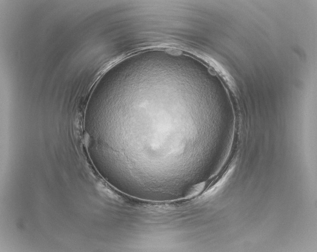 X0000115561001200911201818