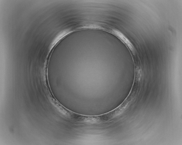 X0000115561002200911201818