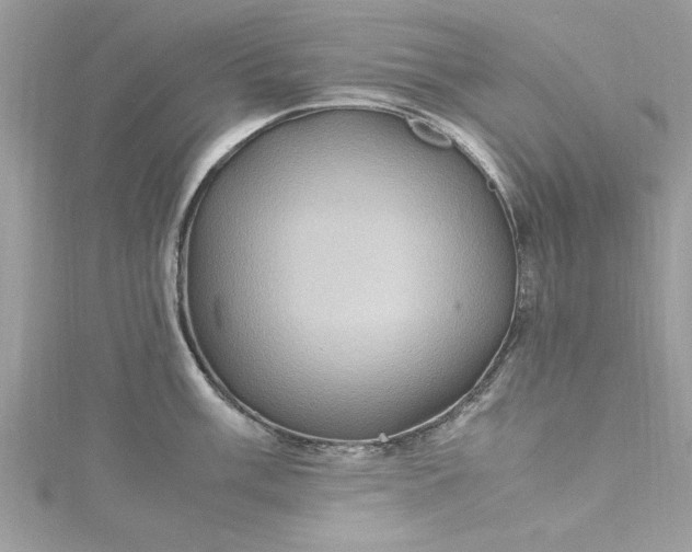 X0000115561003200911201818