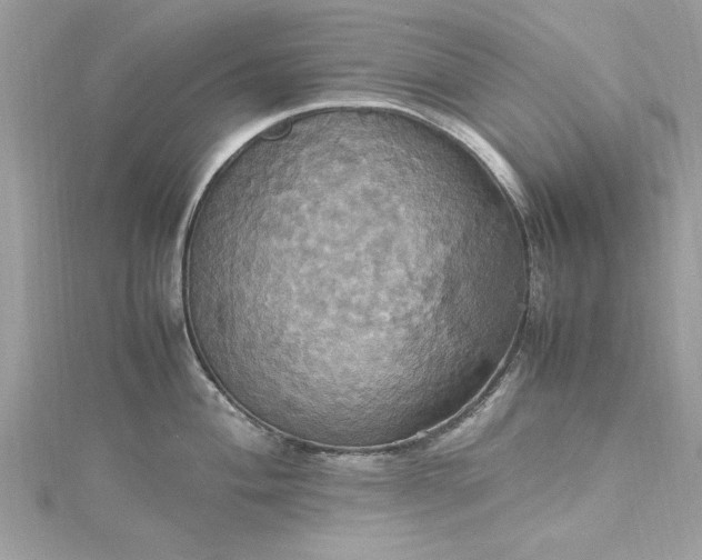 X0000115561004200911201818