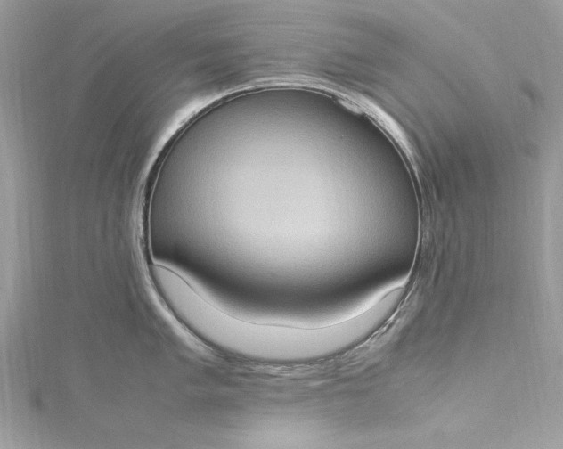 X0000115561005200911201818