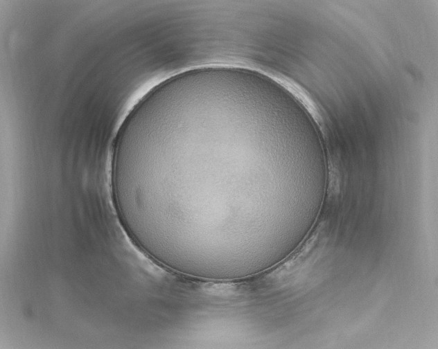 X0000115561006200911201818