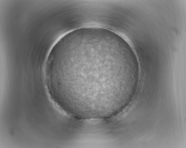 X0000115561008200911201818