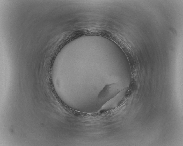 X0000115561009200911201818