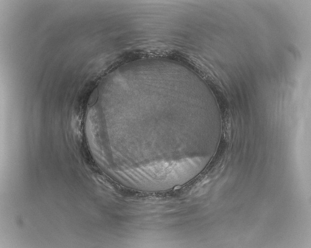 X0000115561010200911201818