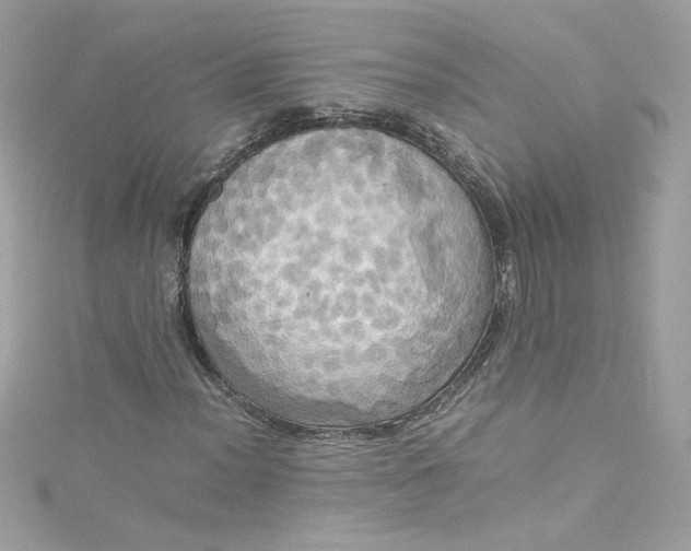 X0000115561012200911201818