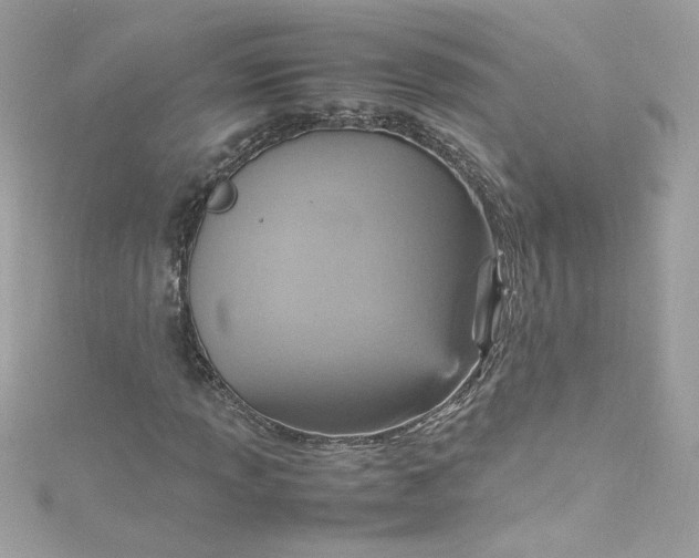 X0000115561013200911201818