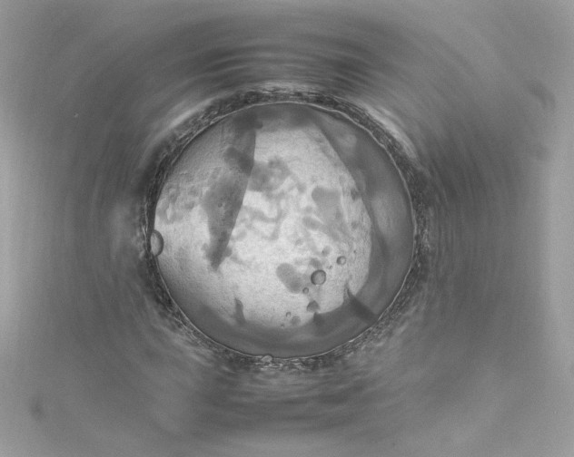 X0000115561015200911201818