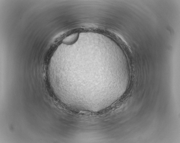 X0000115561016200911201818