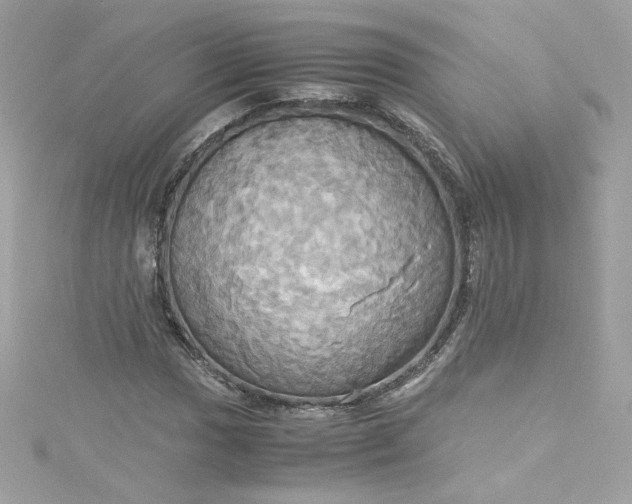 X0000115561017200911201818