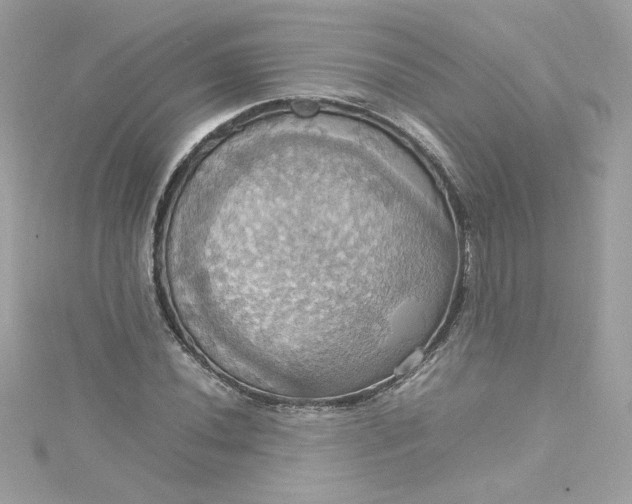 X0000115561020200911201818