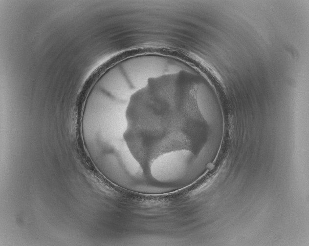 X0000115561021200911201818