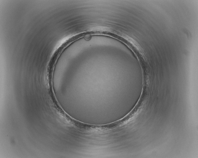 X0000115561022200911201818