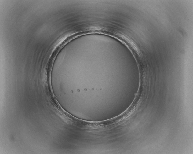 X0000115561023200911201818