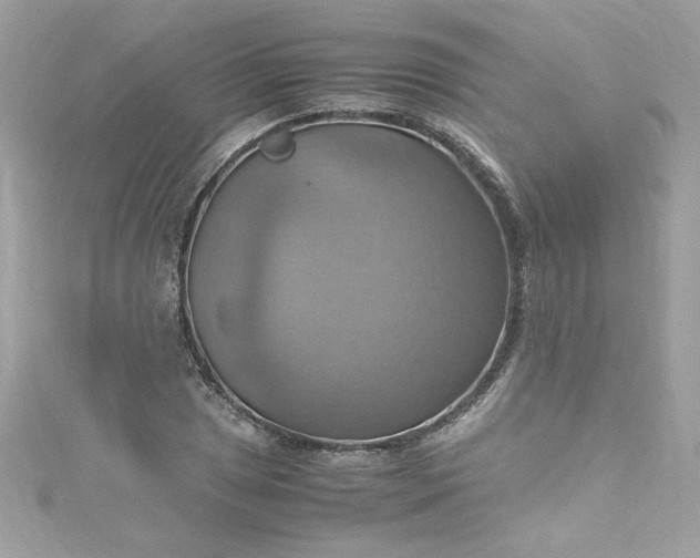 X0000115561025200911201818