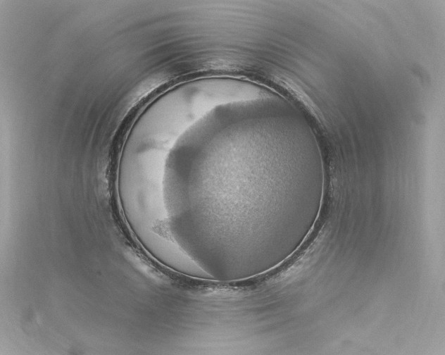 X0000115561026200911201818