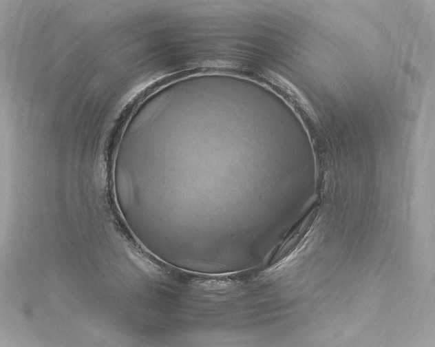 X0000115561027200911201818