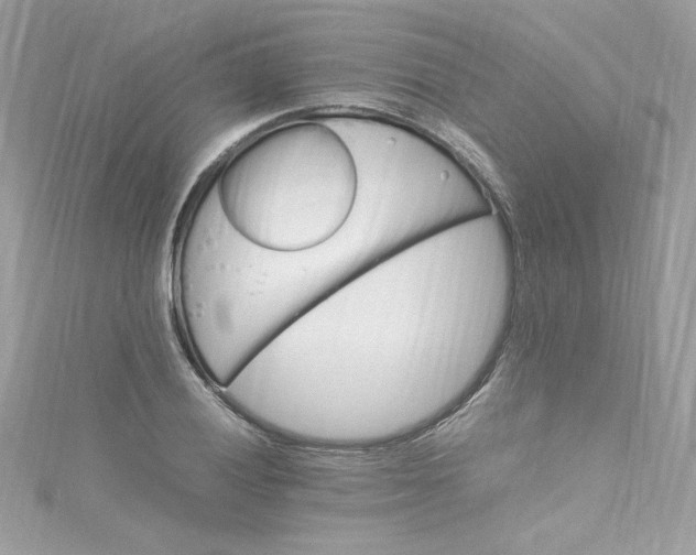 X0000115561028200911201818