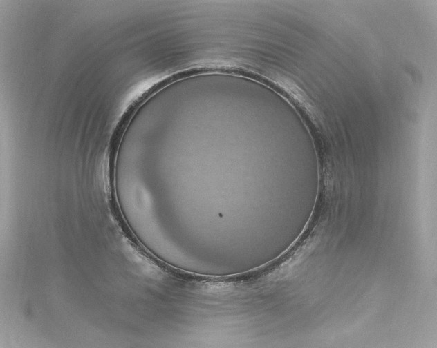 X0000115561030200911201818