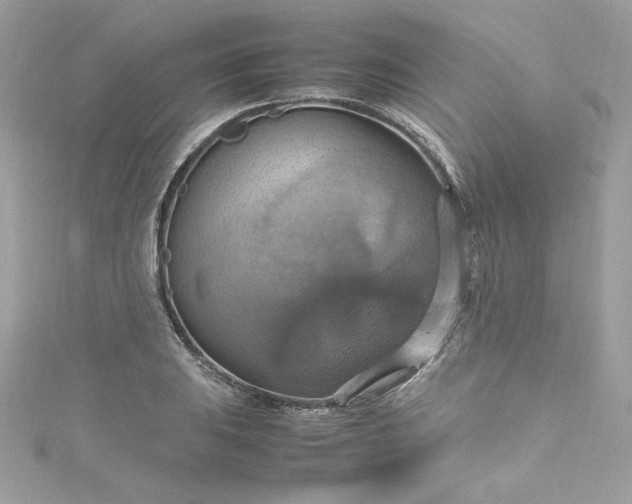 X0000115561031200911201818