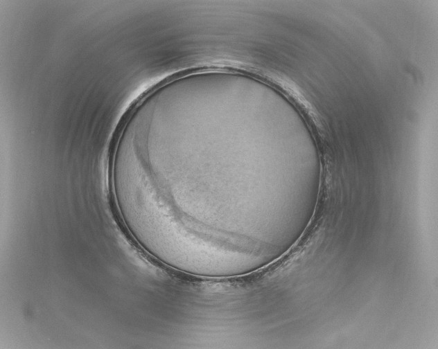 X0000115561032200911201818