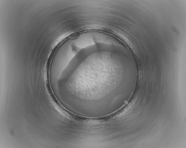 X0000115561034200911201818