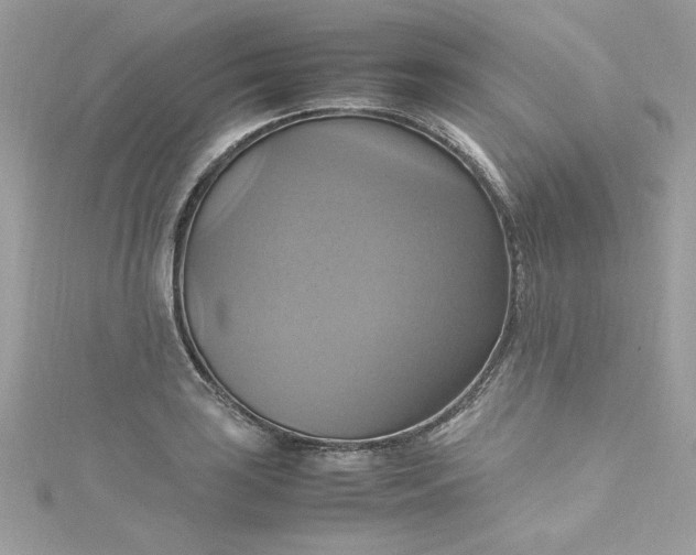 X0000115561035200911201818