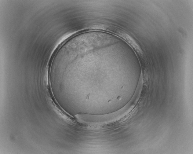 X0000115561036200911201818